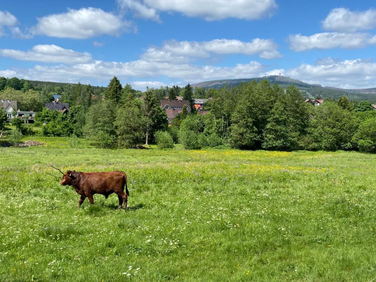 Lejlighed Berglage - Urlaubzuhause Braunlage