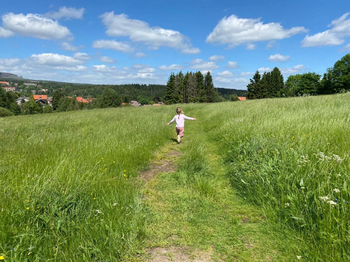 Berglage - Urlaubzuhause Appartement Braunlage